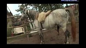 Ngựa uống phải thuốc kích dục đụ luôn vào lồn cô chủ
